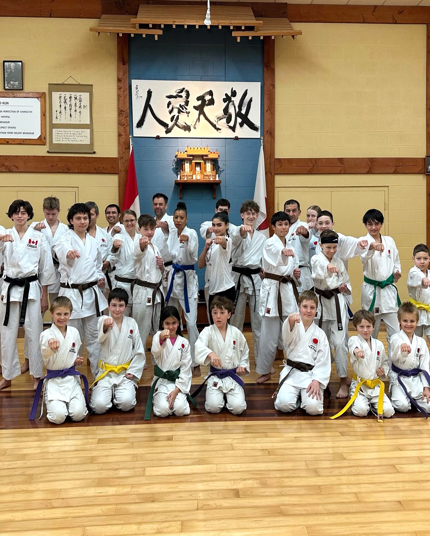 Brad Jones Dojo Mobile