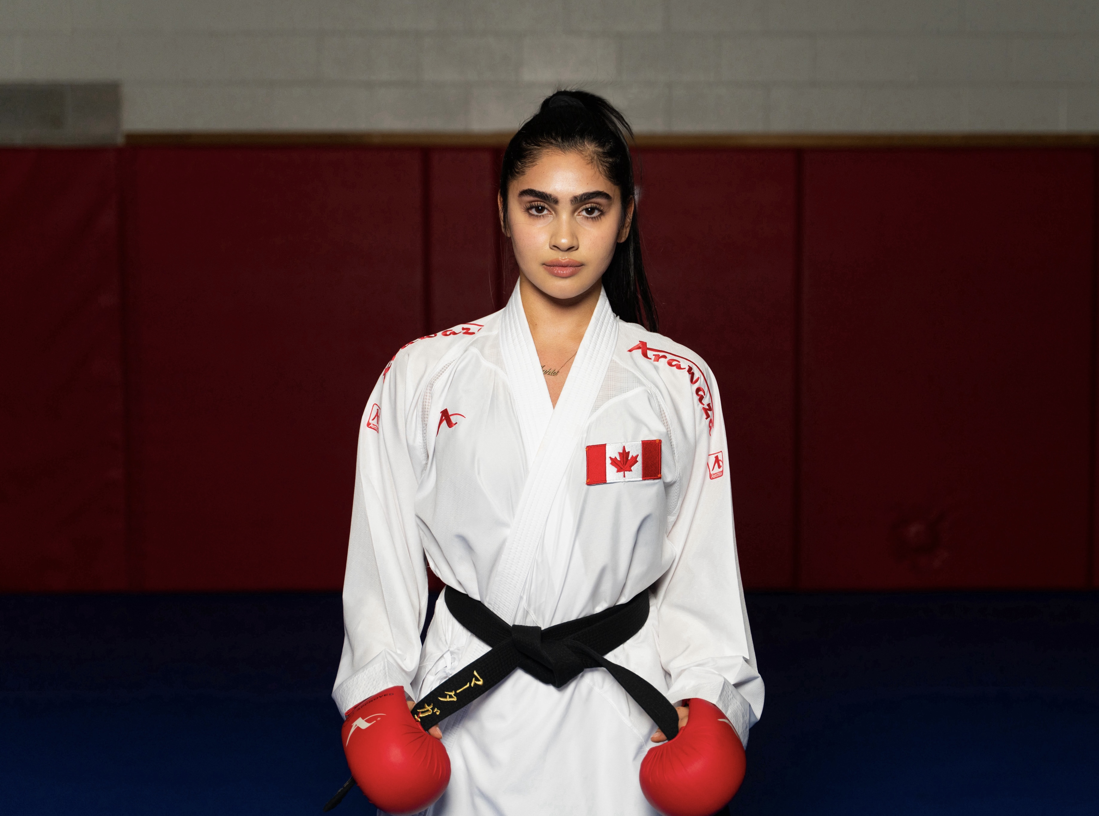 York University Feature